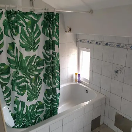 Dejan Apartment-top Centar דירה פולה