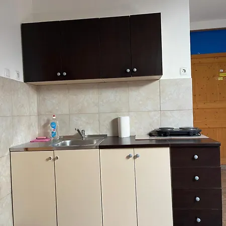 Dejan Apartment-top Centar דירה *