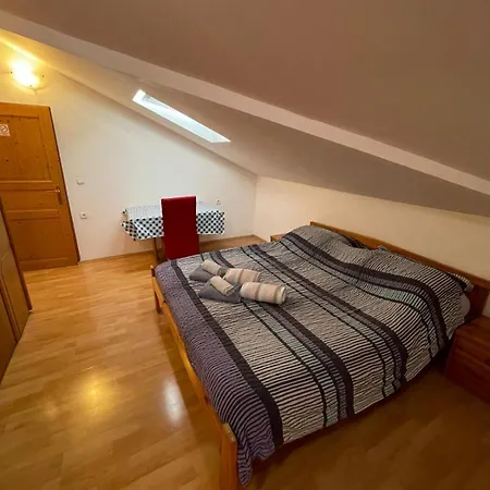 Dejan Apartment-top Centar דירה