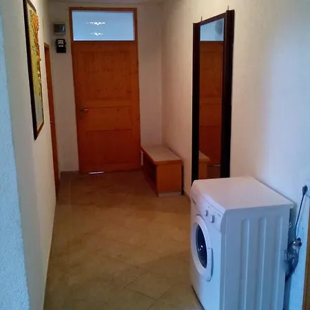 Dejan Apartment-top Centar דירה *