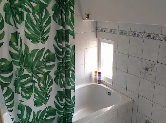 Dejan Apartment-top Centar Διαμέρισμα Πούλα