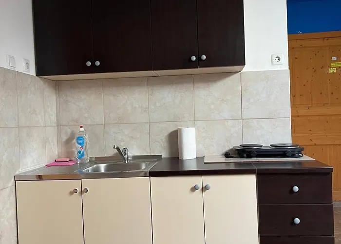 Dejan Apartment-top Centar Διαμέρισμα *