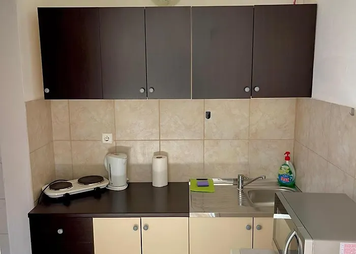 Dejan Apartment-top Centar *