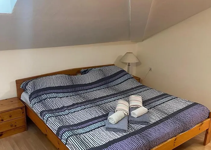 Dejan Apartment-top Centar Διαμέρισμα *